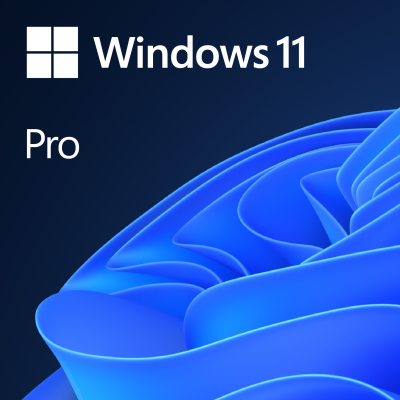 Win Pro 11 64Bit Eng Intl 1pk DSP OEI DVD